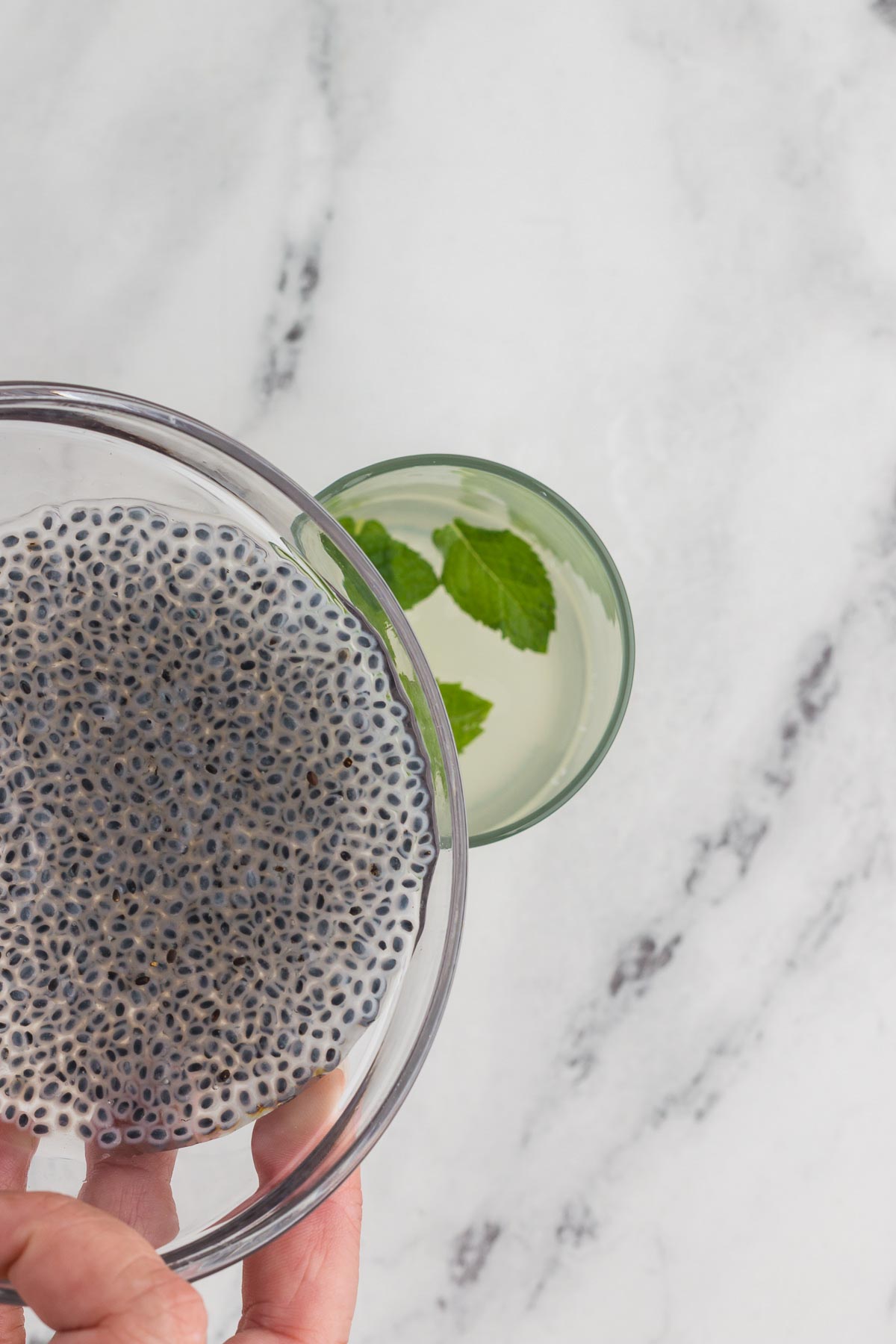 basil seeds (sabja seeds) hydrated and ready to be added to lemon basil seed drink
