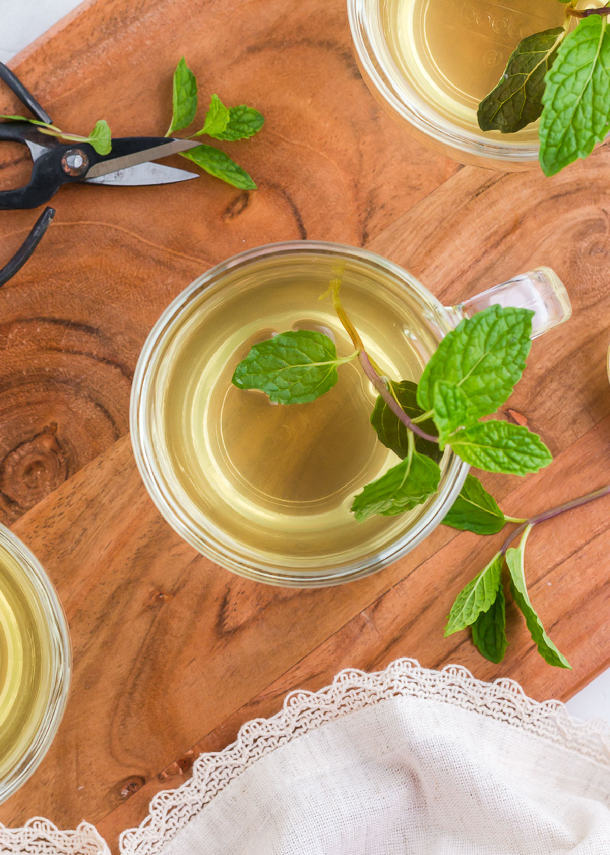 a top view of a mug of hot fresh mint tea