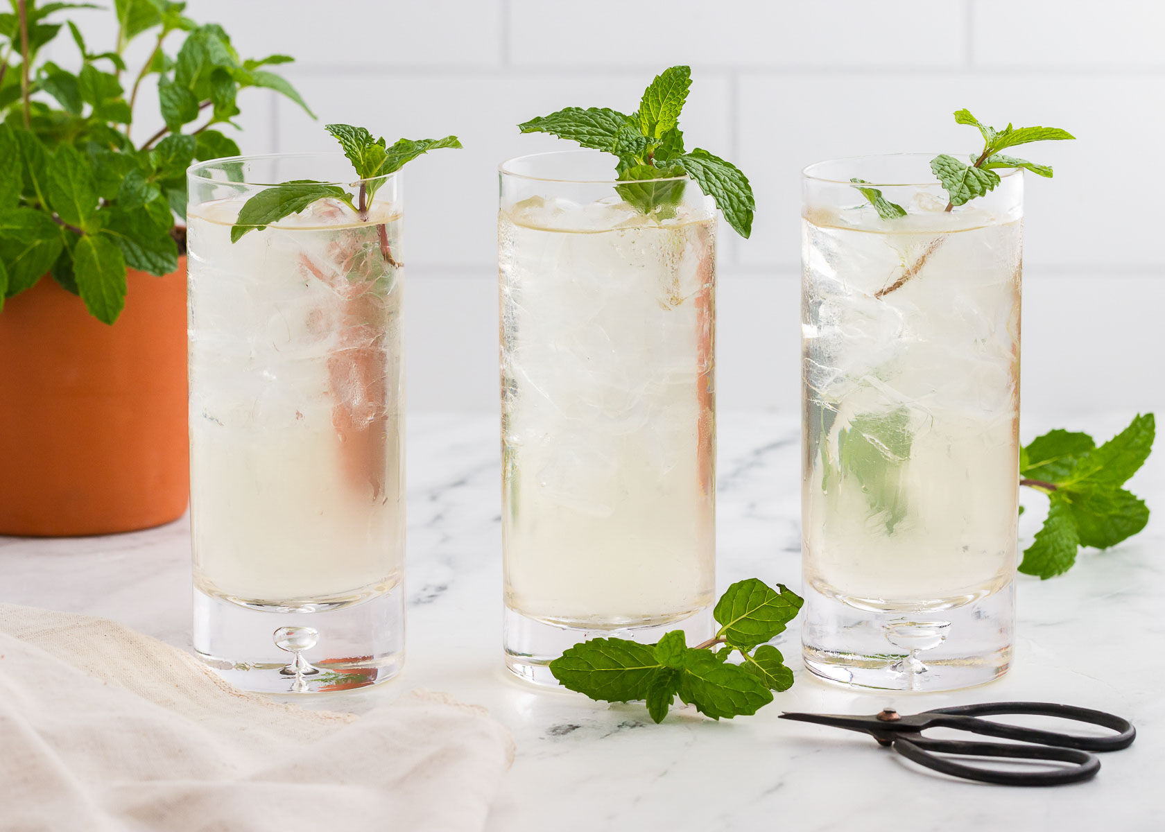 fresh mint tea with sprigs of fresh mint and herb scissors.