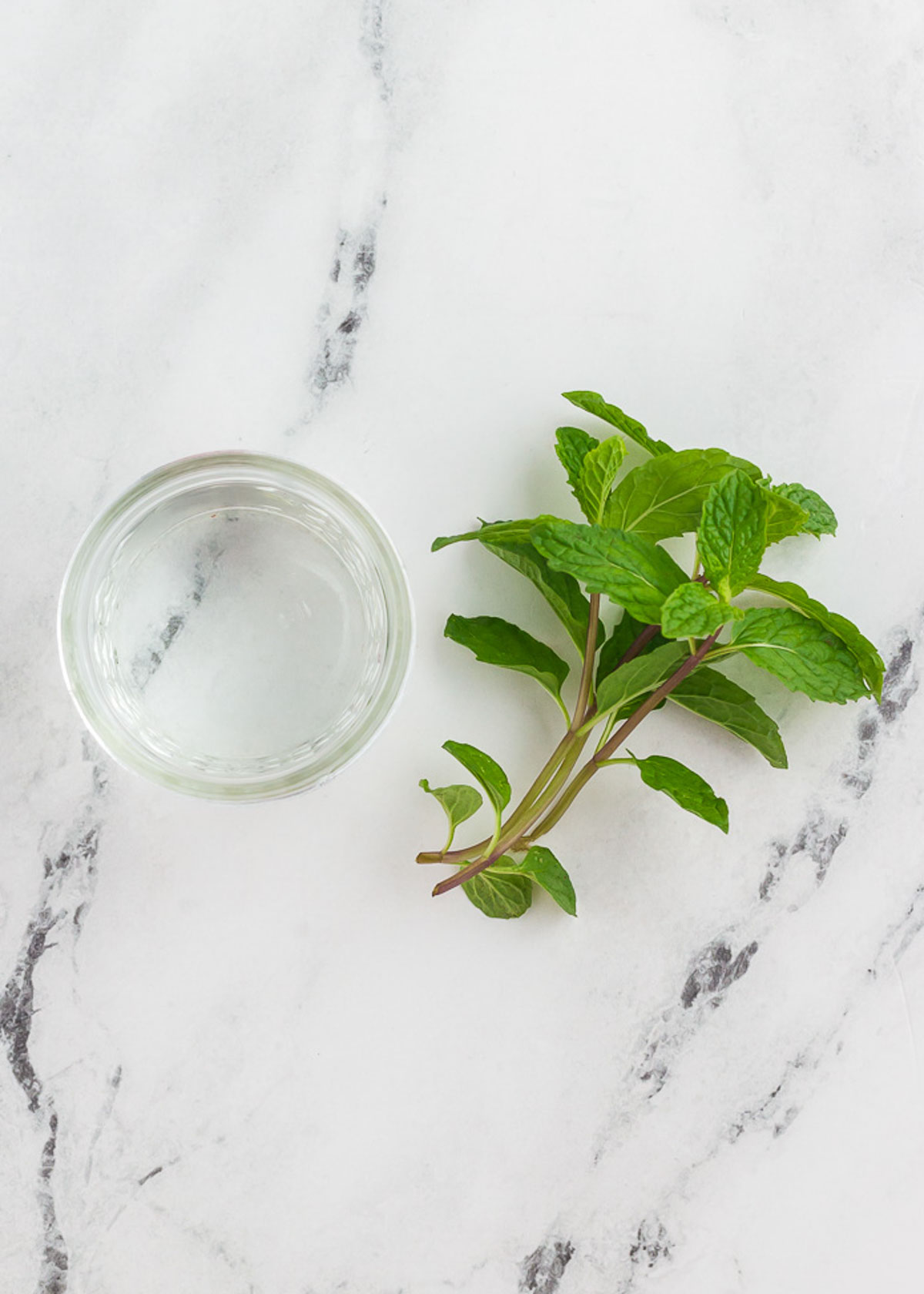 ingredients for fresh mint tea