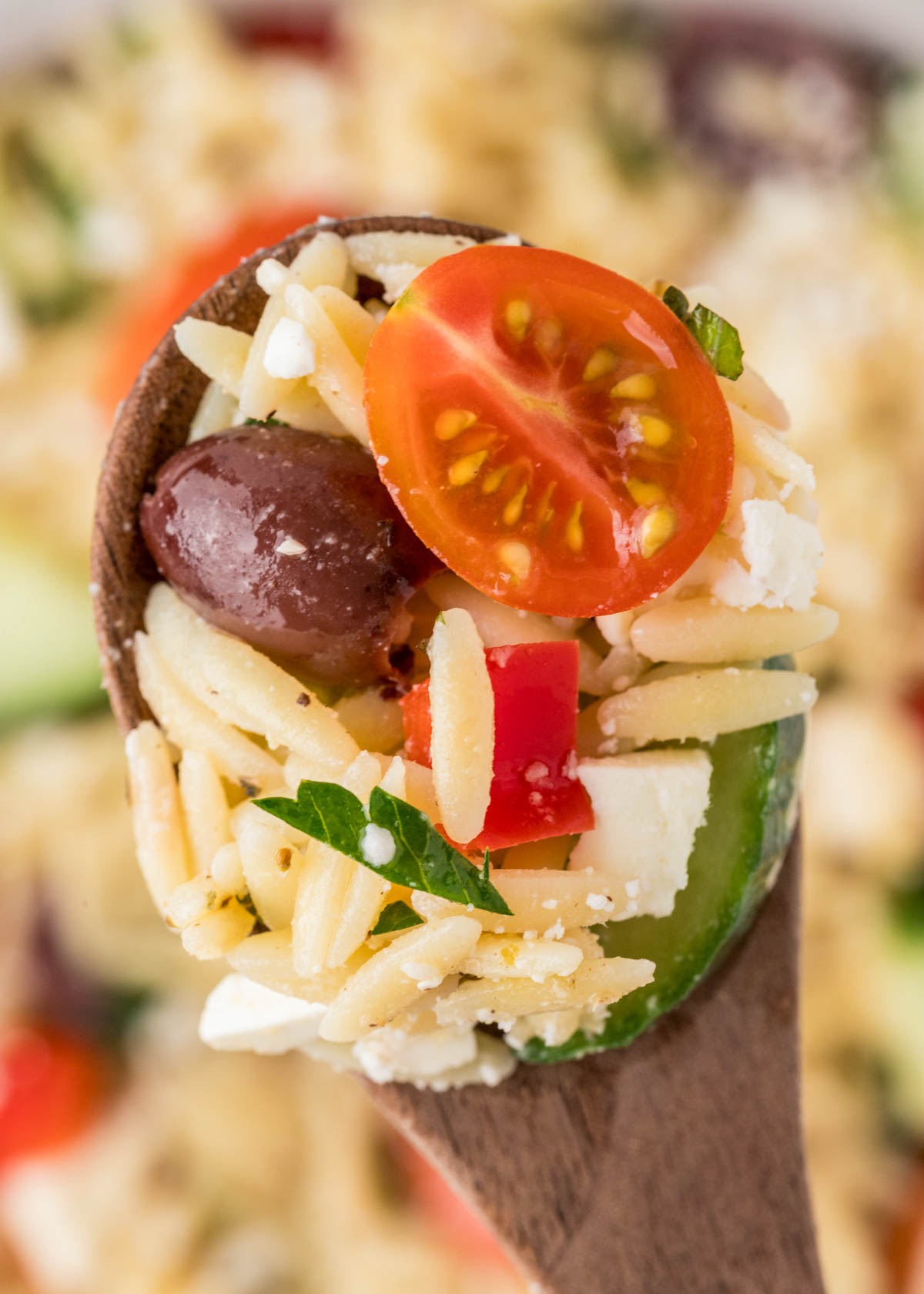 Close-up of a spoonful of greek orzo pasta salad