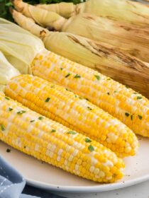 Freshly buttered grilled corn on the cob in husk with the husk peeled back and ready to eat