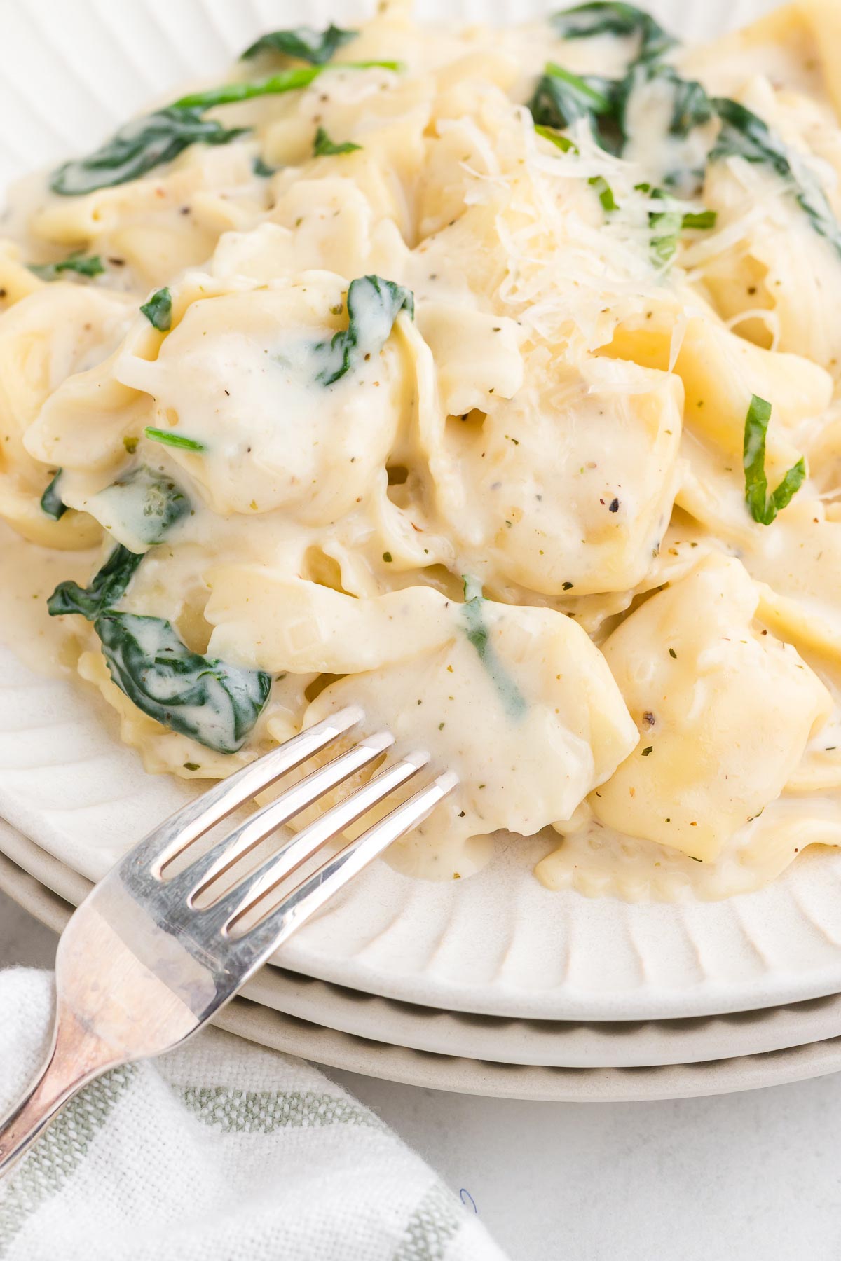 A silver fork lifts up a piece of tortellini from a plateful of tortellini Alfredo on a white plate. 