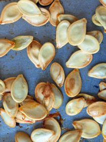 How to Roast Pumpkin Seeds