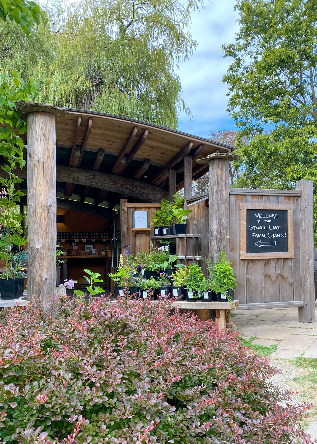the farm stand at Stowel Lake Farm